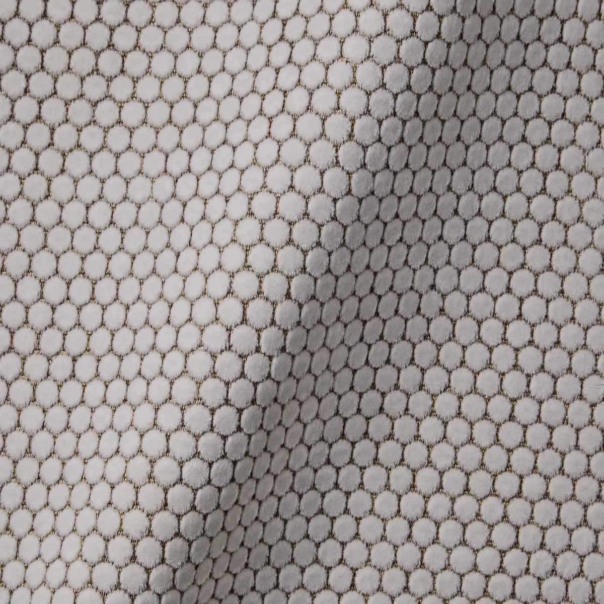 Extinct Animals Pogo Goat Ivory